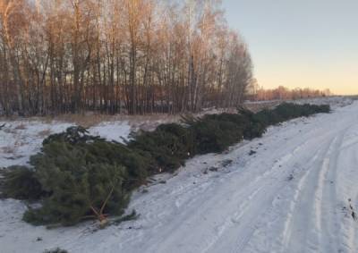 На Южном Урале пресекли незаконную вырубку елок