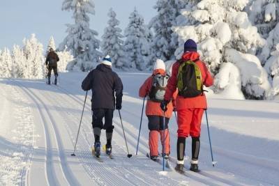 Спортсмены смогут бесплатно провозить лыжи и сноуборды в электричках Тверской области