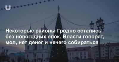 Некоторые районы Гродно остались без новогодних елок. Власти говорят, мол, нет денег и нечего собираться