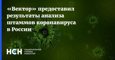 «Вектор» предоставил результаты анализа штаммов коронавируса в России