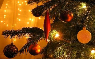 ТОП-5 подарков: что ждать жителям Петербурга и Ленобласти под новогодней елкой