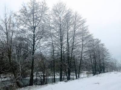 Снег, мороз и туманы: погода разделит Украину на части, кому повезет с зимней сказкой