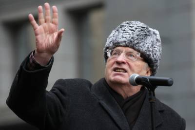 Жириновский предложил называть вытрезвители приютами для уставших