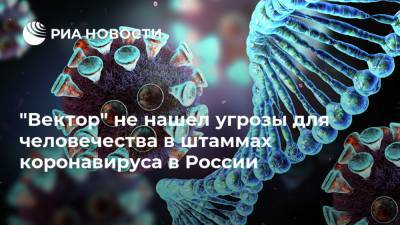 "Вектор" не нашел угрозы для человечества в штаммах коронавируса в России