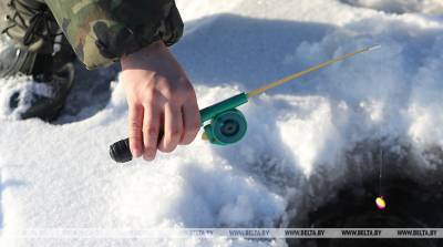 Лов налима запрещается в Беларуси с 25 декабря