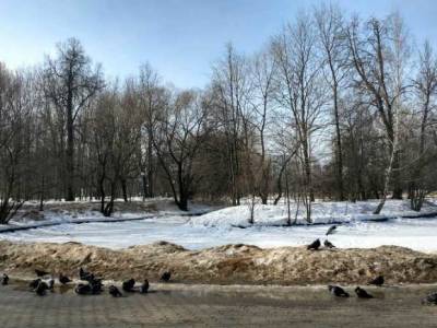 Синоптики: Уходящий год в Москве оказался самым теплым с 1879 года
