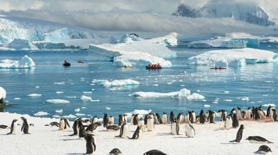 В Антарктиде зафиксировали первые случаи коронавируса
