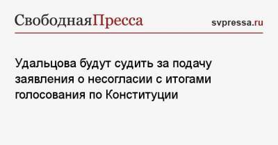 Удальцова будут судить за подачу заявления о несогласии с итогами голосования по Конституции