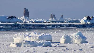 Первые случаи коронавируса выявлены в Антарктиде