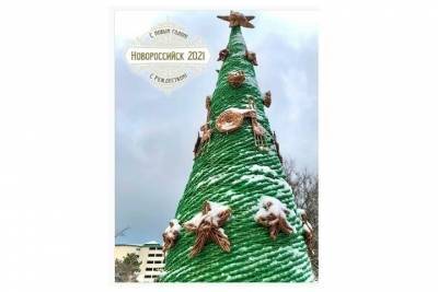 Новороссийская елка из детских тетрадей попала в Книгу рекордов