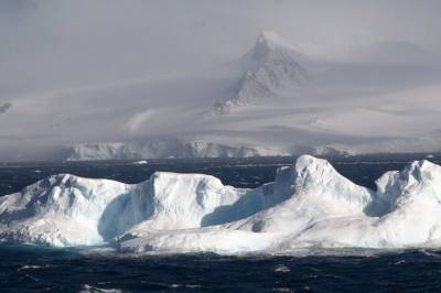 Пандемия охватила весь мир: Коронавирус обнаружили в Антарктиде