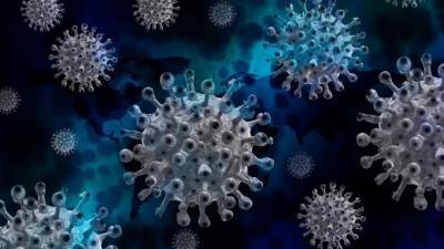 Что известно о новой мутации коронавируса N501Y?