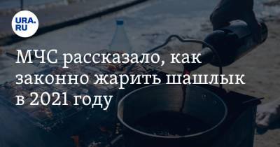 Ринат Еникеев - МЧС рассказало, как законно жарить шашлык в 2021 году - ura.news