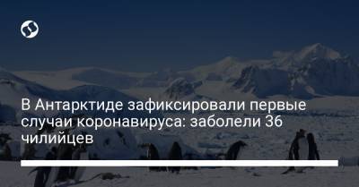 В Антарктиде зафиксировали первые случаи коронавируса: заболели 36 чилийцев