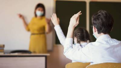 Новый штамм коронавируса: пойдут ли дети в школу в 2021 году?