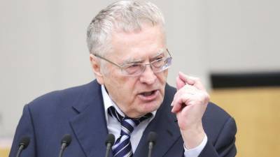 Жириновский предложил "менее негативное" название для вытрезвителей
