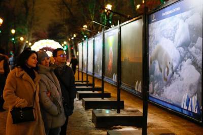 Фотовыставка в центре Москвы расскажет об изучении Арктики