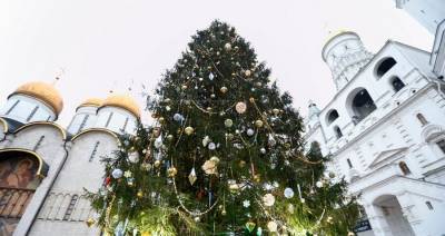 Главную новогоднюю елку украсили на Соборной площади