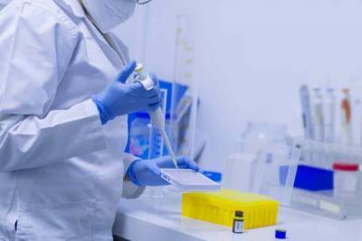 В Германии заявили об отсутствии нового штамма коронавируса в стране