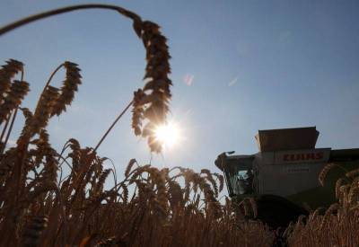 Украина не планирует никаких изменений в правилах экспорта зерна - замминистра