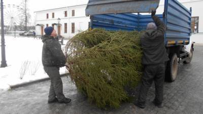 Тверской объединенный музей получил в подарок новогоднюю елочку