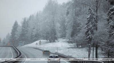 МВД: правильный выбор скорости на зимней дороге может предотвратить трагедию