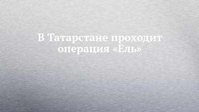 В Татарстане проходит операция «Ель»