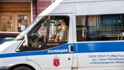 Преступность в Петербурге выросла более чем на четверть