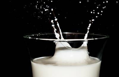 Названы ТОП-3 региона, лидирующих в производстве молока