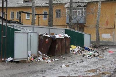 Рязанский «мусорный» оператор получит почти 90 млн из федерального бюджета