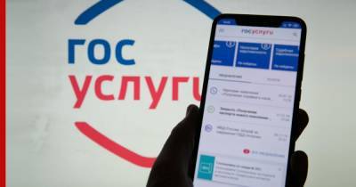 Скидку в 30% при уплате пошлин на госуслугах в РФ продлили на два года
