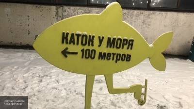 Катание на коньках в Петербурге оказалось недоступным и дорогим удовольствием