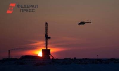 В Москве при поддержке «Роснефти» открылась выставка «Притяжение Арктики»