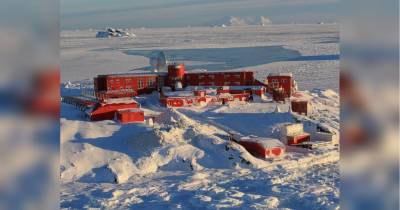 Коронавирус добрался до Антарктиды – 36 заболевших
