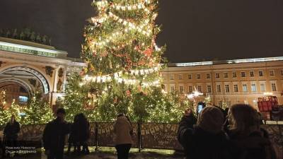 Петербуржцам рассказали, как провести "ковидную" новогоднюю ночь и длинные праздники