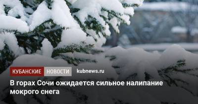 В горах Сочи ожидается сильное налипание мокрого снега