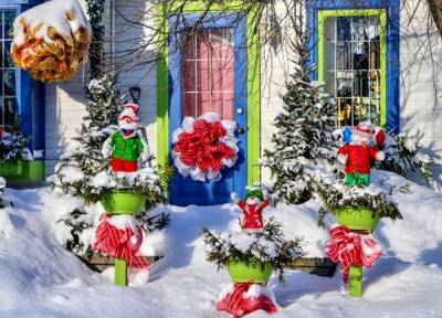 Что принесет Дед Мороз садоводу? Необычные подарки для фанатов дачи