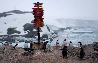 Последний континент "пал": Вспышка коронавируса зафиксирована в Антарктиде