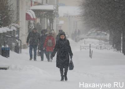К Москве приближается непредсказуемый снежный циклон "Грета"