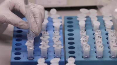 Украинские ученые дали прогноз по коронавирусу на следующие две недели