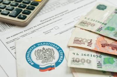 За долги до десяти тысяч рублей налоговики беспокоить не будут