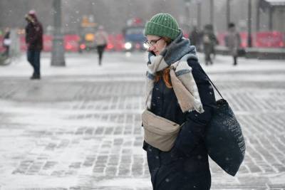 Синоптик рассказал о погоде в последние дни года в Москве