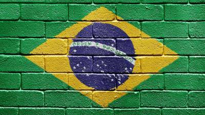 В Бразилии обнаружен новый штамм коронавируса