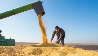 На Черниговщине собрали рекордный урожай зерновых