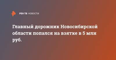 Главный дорожник Новосибирской области попался на взятке в 5 млн руб.