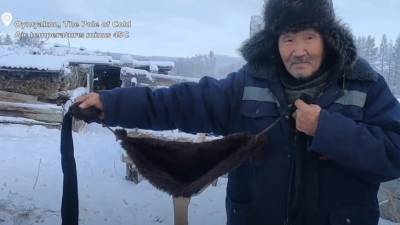 В Якутии охотник одел своих коров в специальные меховые бюстгальтеры