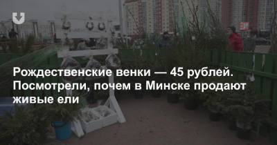 Рождественские венки — 45 рублей. Посмотрели, почем в Минске продают живые ели