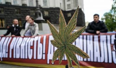 На Украине могут легализовать марихуану уже в этом году