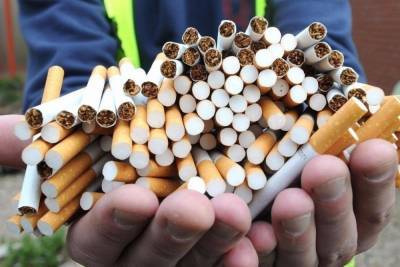 В Ярославле приставы уничтожили контрафактные сигареты