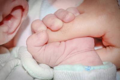 Китайцам разрешили забрать 150 детей рождённых суррогатными матерями в Петербурге